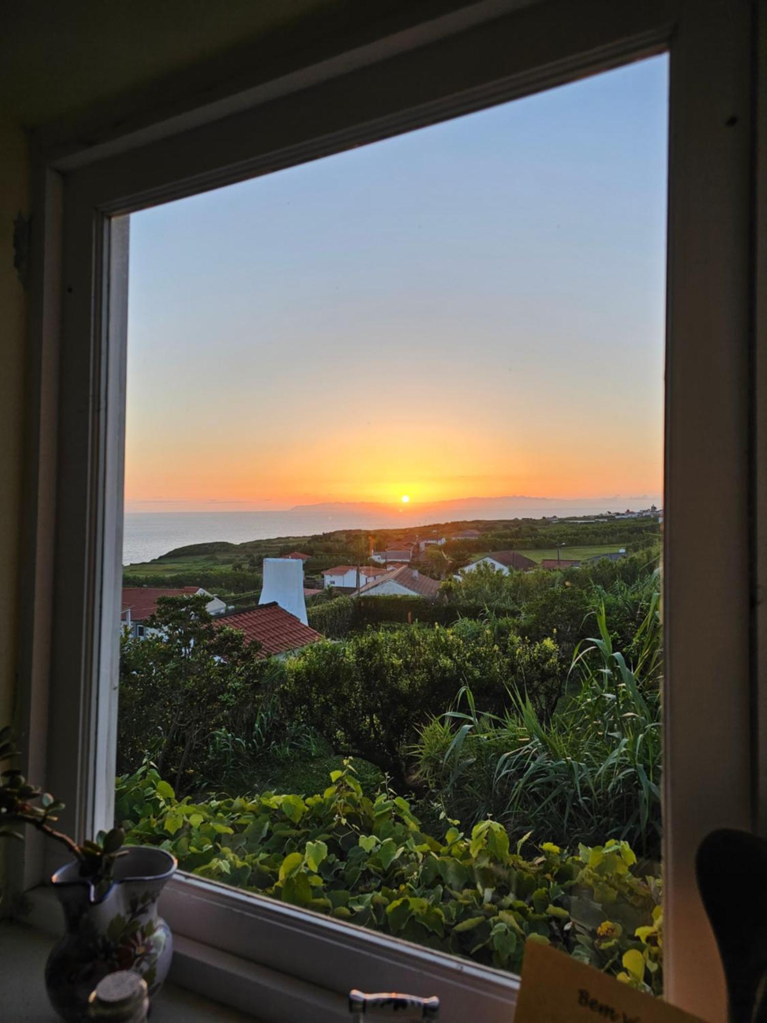Casa Anjos Holiday Cottages Cedros Ngoại thất bức ảnh