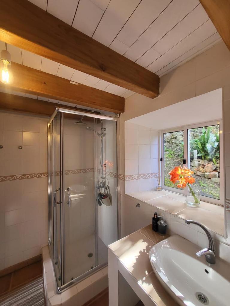 Casa Anjos Holiday Cottages Cedros Ngoại thất bức ảnh