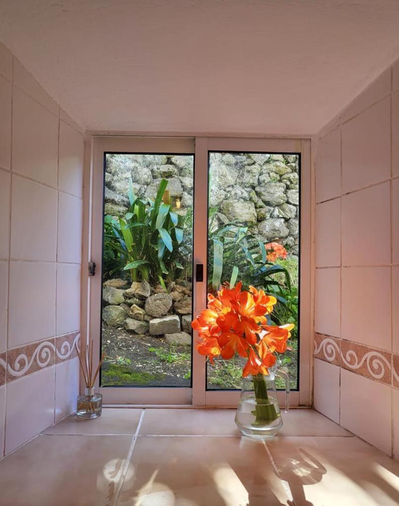 Casa Anjos Holiday Cottages Cedros Ngoại thất bức ảnh
