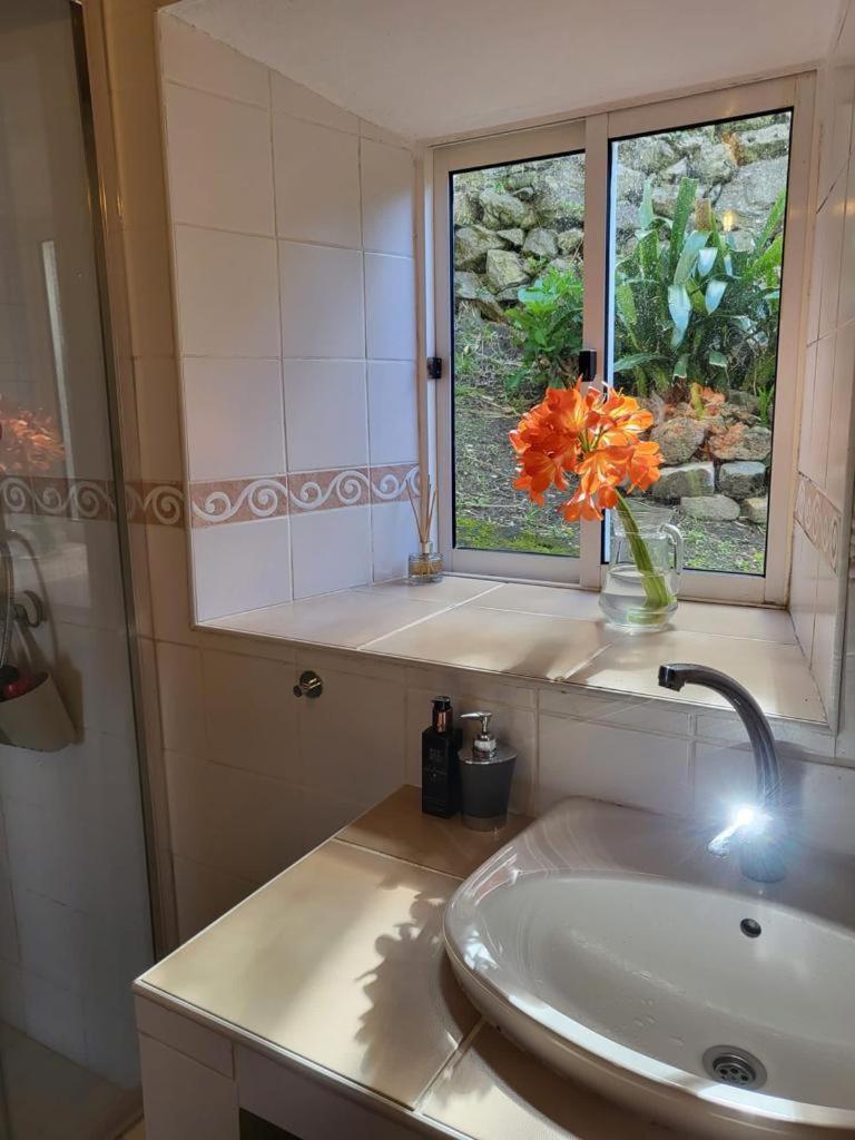 Casa Anjos Holiday Cottages Cedros Ngoại thất bức ảnh