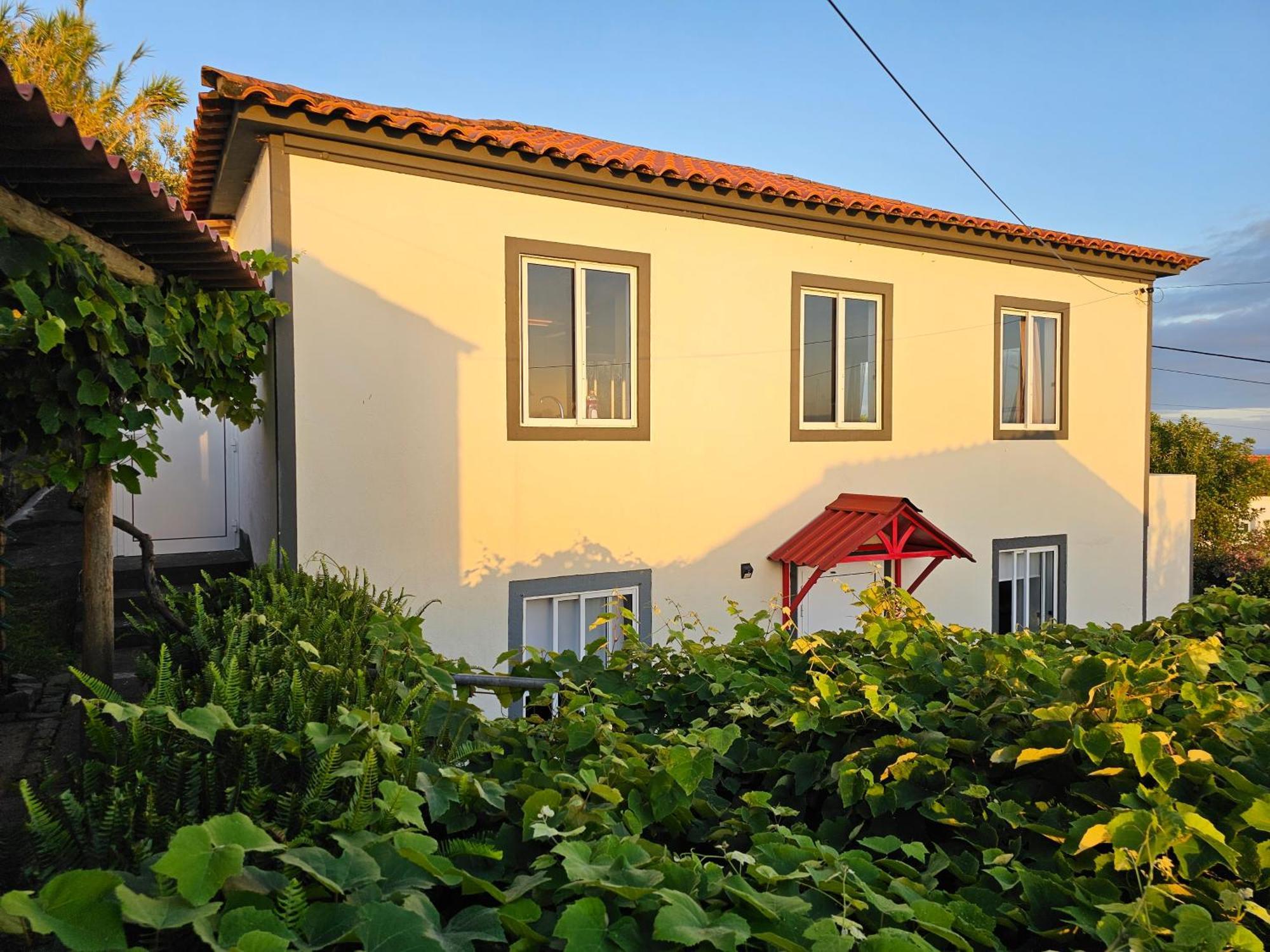 Casa Anjos Holiday Cottages Cedros Ngoại thất bức ảnh